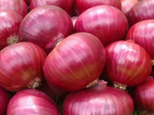 Red onions
